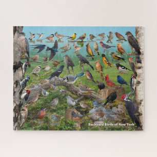 Quebra-cabeça Aves do quintal de Nova York