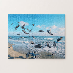 Quebra-cabeça Aves marinhas