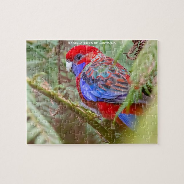 Quebra-cabeça Aves Rosella da Austrália (Horizontal)