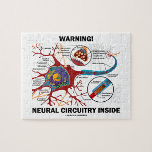 Quebra-cabeça Aviso! Interior Neural dos circuitos (sinapse do
