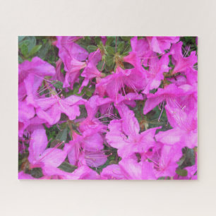 Quebra-cabeça "Azalea Blooms"