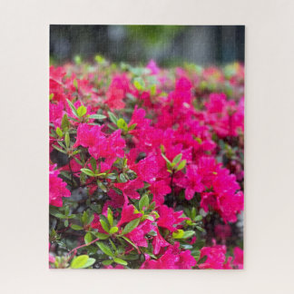 Quebra-cabeça Azaléia Rosa Quente, Seul