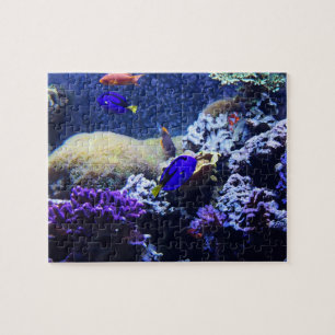 Quebra-cabeça azul da pintura dos peixes de Tang