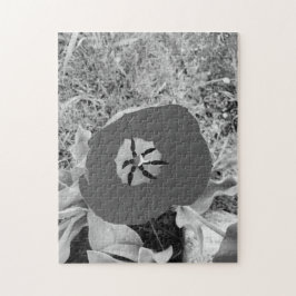 Quebra-cabeça b + w tulipa