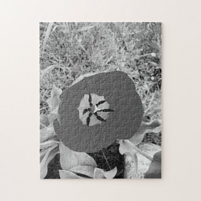 Quebra-cabeça b + w tulipa (Vertical)
