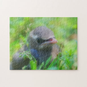 Quebra-cabeça Baby Cedar Waxwing - Natureza de ave