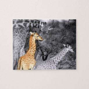 Quebra-cabeça Baby Giraffe