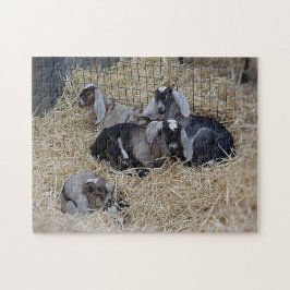Quebra-cabeça Baby Goats