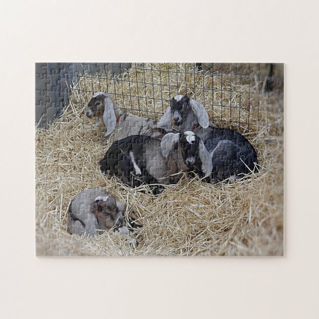 Quebra-cabeça Baby Goats (Horizontal)