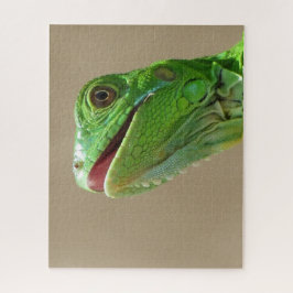 Quebra-cabeça Baby Green Iguana