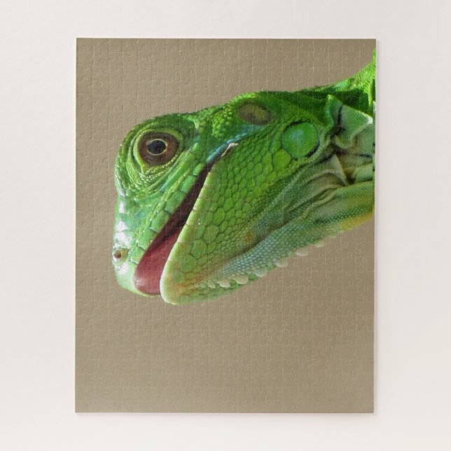 Quebra-cabeça Baby Green Iguana (Vertical)