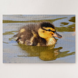 Quebra-cabeça Baby Mallard Duck Nadando