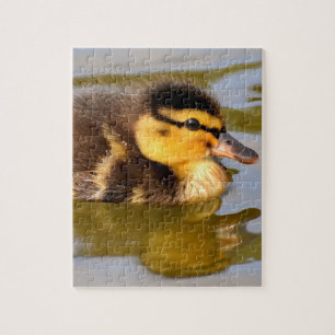 Quebra-cabeça Baby Mallard Duck Nadando