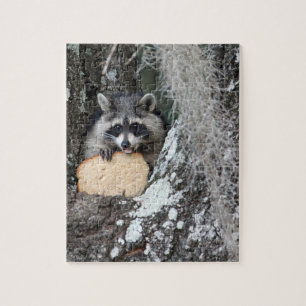 Quebra-cabeça Baby Raccoon