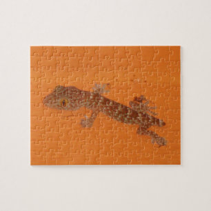 Quebra-cabeça Baby Tokay Gecko