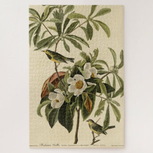 Quebra-cabeça Bachman's Warbler, das Aves da América de Audubon