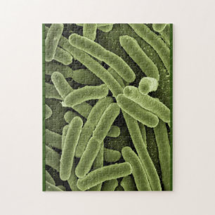 Quebra-cabeça bacterias e. coli microscópio