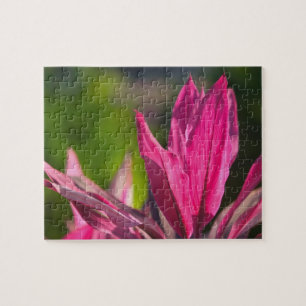 Quebra-cabeça BAHAMAS, Ilha de Nova Providência, Nassau: Paraíso