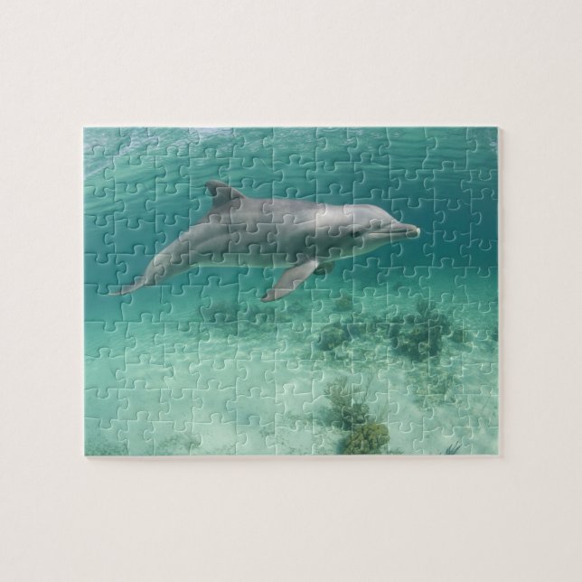 Quebra-cabeça Bahamas, Ilha Grande do Bahama, Porto Livre, Capto (Horizontal)