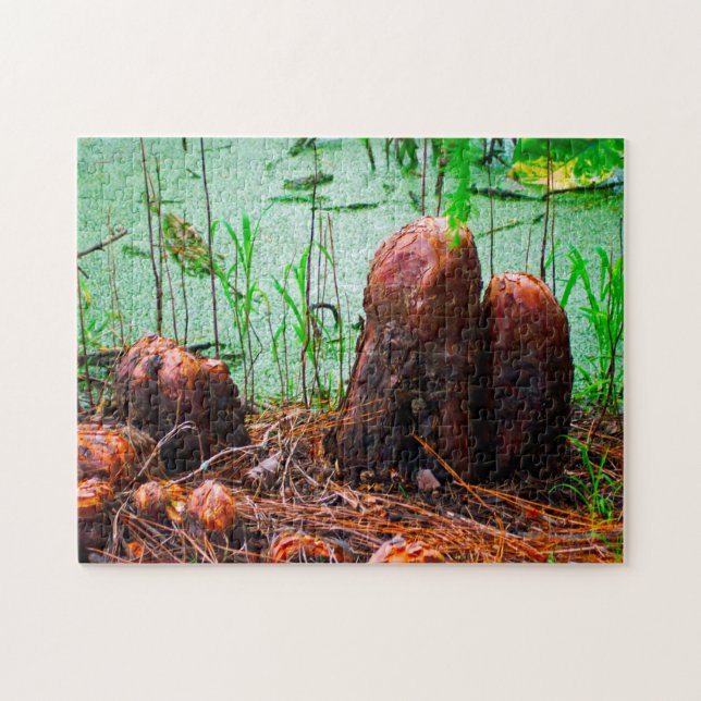 Quebra-cabeça Baía Cypress Knees Louisiana. (Horizontal)