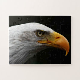 Quebra-cabeça Bald Eagle 11x14 30pc jpcn