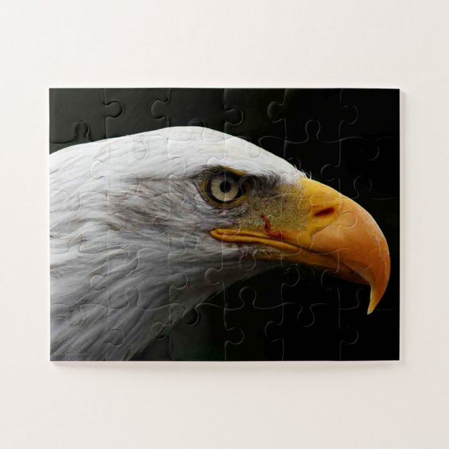 Quebra-cabeça Bald Eagle 11x14 30pc jpcn (Horizontal)