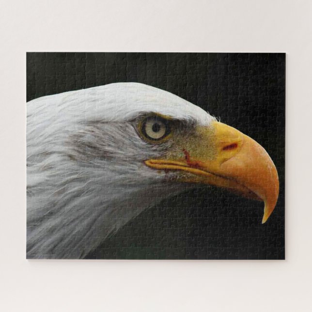 Quebra-cabeça Bald Eagle 16x20 520pc jpcna (Horizontal)