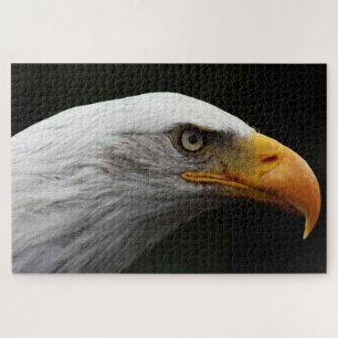 Quebra-cabeça Bald Eagle 20x30 1014pc jpcn