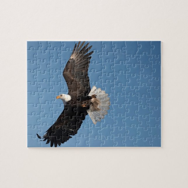 Quebra-cabeça Bald Eagle em Voo (Horizontal)