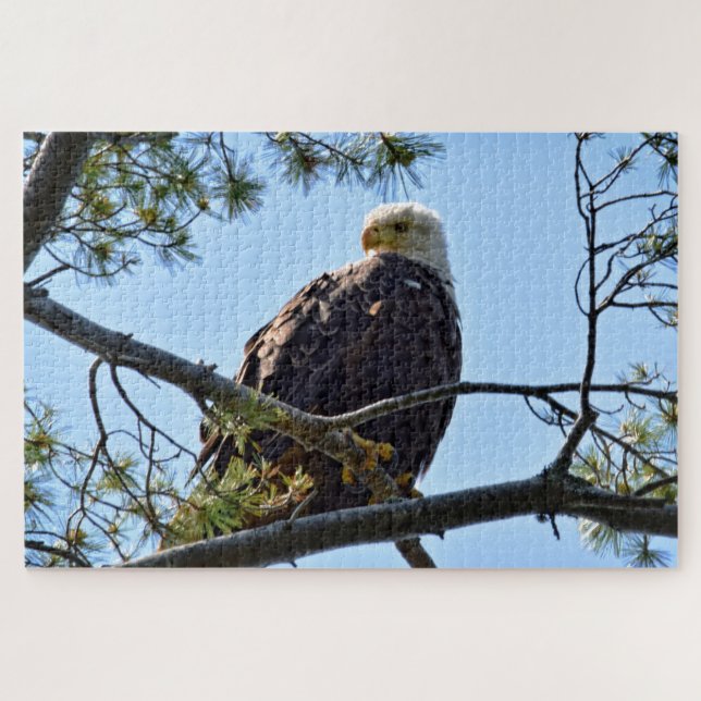 Quebra-cabeça Bald Eagle Perch - 20x30 - 1014 pcs. (Horizontal)