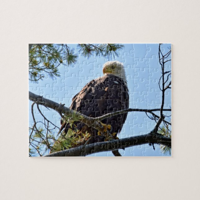 Quebra-cabeça Bald Eagle Perch - 8x10 - 110 pcs. (Horizontal)