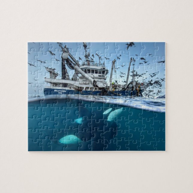 Quebra-cabeça Baleia Assassina Orca Barco de Pesca Comercial Oce (Horizontal)