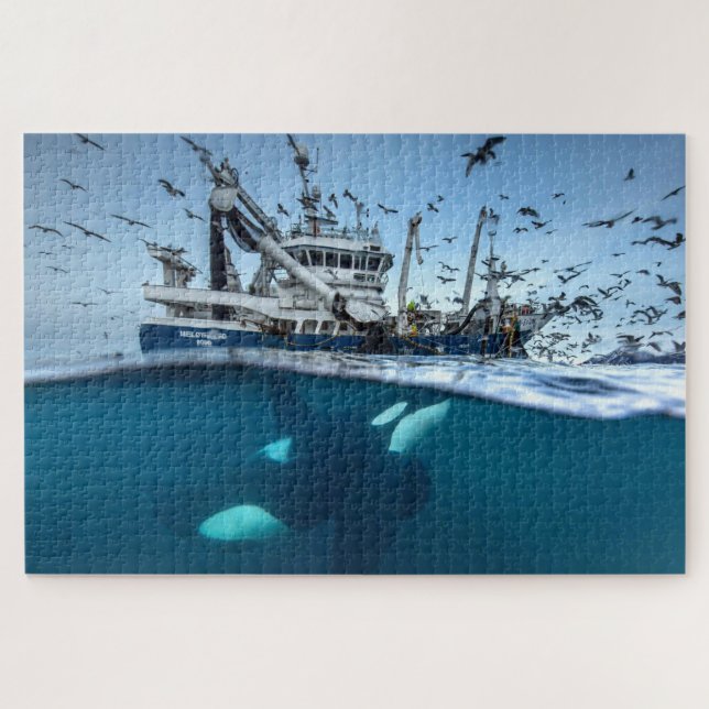Quebra-cabeça Baleia Assassina Orca Barco de Pesca Comercial Oce (Horizontal)