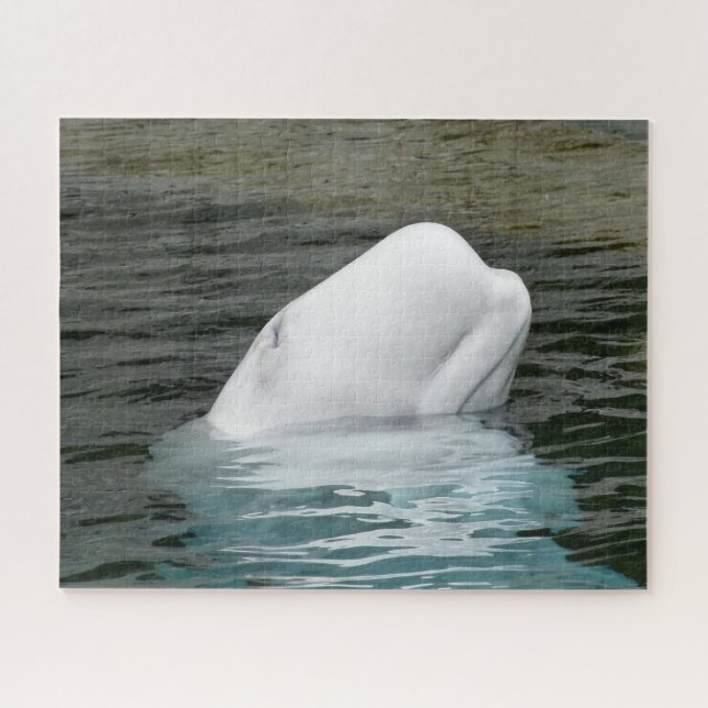 Quebra-cabeça Baleia Beluga Alasca (Horizontal)