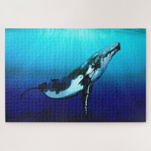Quebra-cabeça Baleia de Humpback