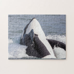 Quebra-cabeça Baleia Orca saltando