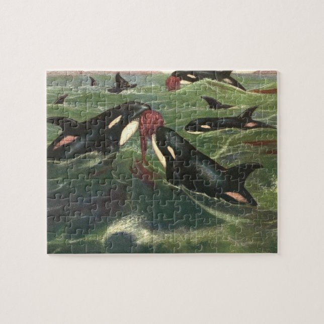 Quebra-cabeça Baleias Assassinas e Orcas, Mamíferos Marinhos Vin (Horizontal)