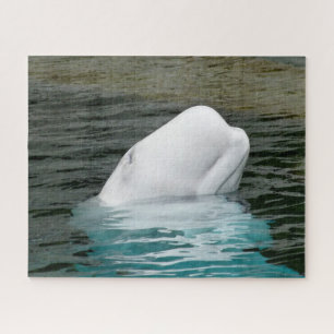 Quebra-cabeça Baleias Beluga