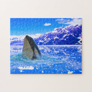 Quebra-cabeça Baleias Orca Canadenses.