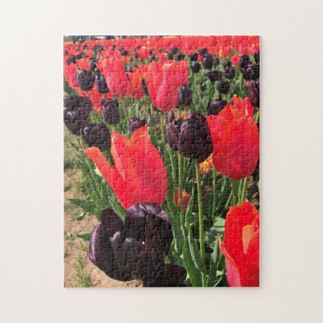 Quebra-cabeça Ballerina e Rainha das Tulipas Noturnas (Vertical)