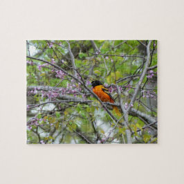 Quebra-cabeça Baltimore Oriole