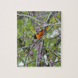 Quebra-cabeça Baltimore Oriole
