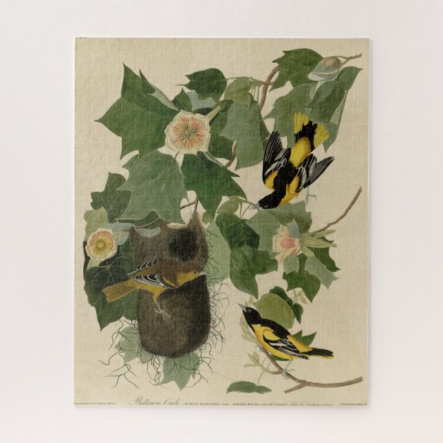 Quebra-cabeça Baltimore Oriole - das Aves da América de Audubon (Vertical)