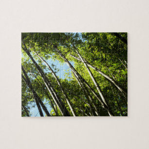 Quebra-cabeça Bambu Natureza Botânica