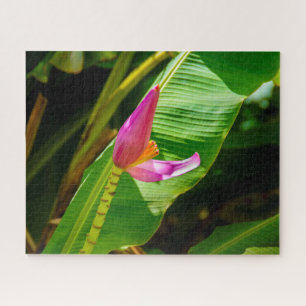 Quebra-cabeça Banana Flower, Limahuli Gardens, Kauai, Havaí
