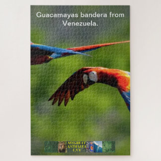 Quebra-cabeça Bandera Guacamayas da Venezuela.