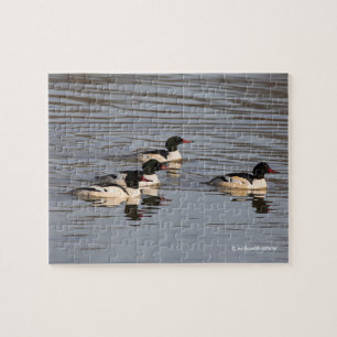 Quebra-cabeça Bando de Patos de Merganser Comuns no Lough