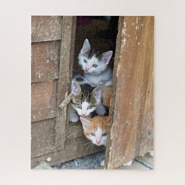 Quebra-cabeça Barn Kittens (Vertical)