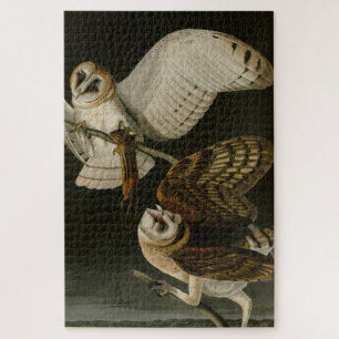 Quebra-cabeça Barn Owl (Tyto alba) Audubon's Birds of America