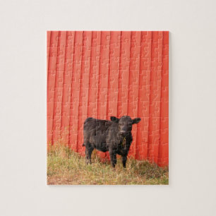 Quebra-cabeça Barn Vermelho de Vaca Preta